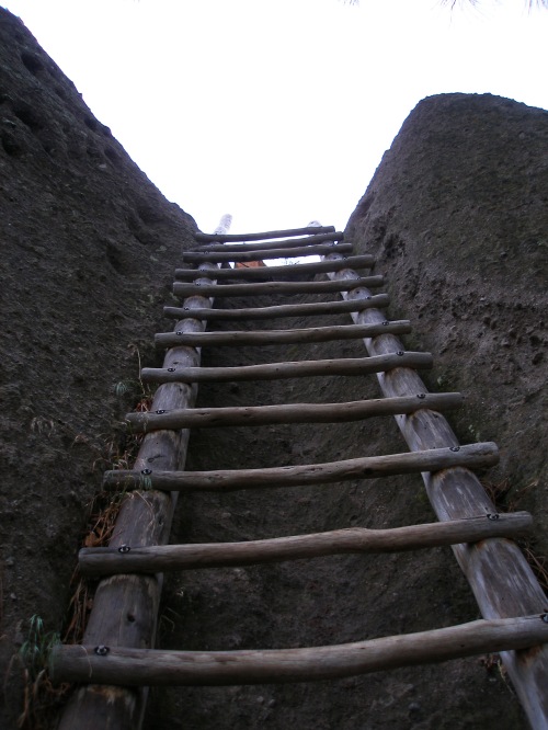 Looking up one of the several ladders at Bandelier National Monument